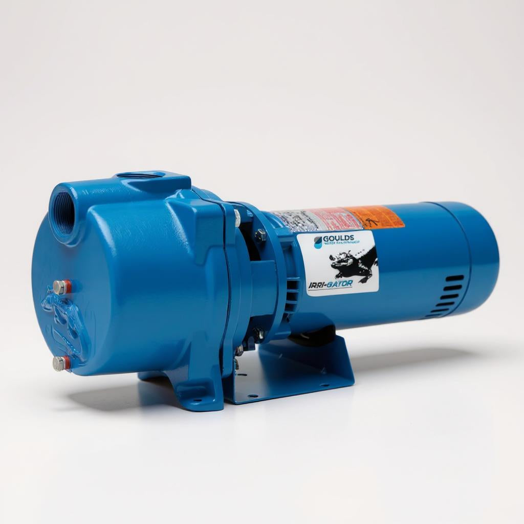 Goulds GT10 centrifugal pump rear motor view showing ODP enclosure, dual voltage wiring access, and durable cast iron frame for irrigation systems.