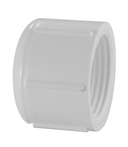 Sch 40 Cap (FPT)