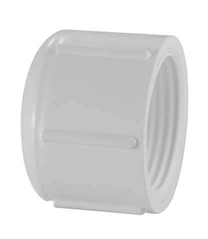 Sch 40 Cap (FPT)