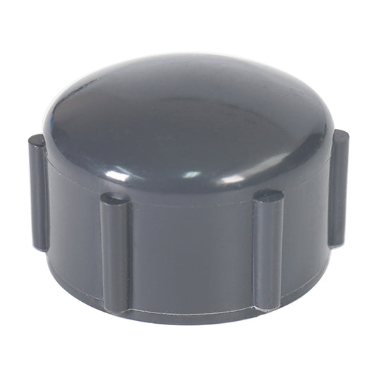Sch 80 Cap (FPT)