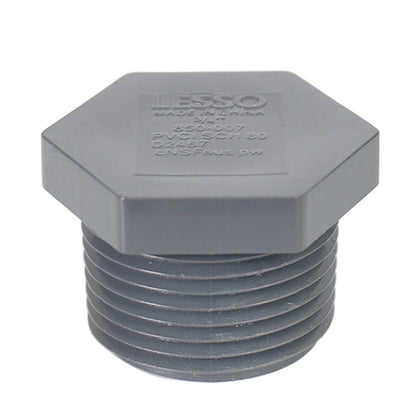 Sch 80 Plug (MPT)